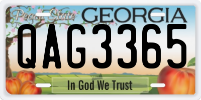 GA license plate QAG3365