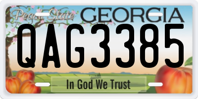 GA license plate QAG3385