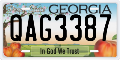 GA license plate QAG3387