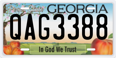 GA license plate QAG3388
