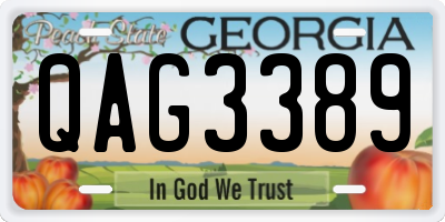 GA license plate QAG3389
