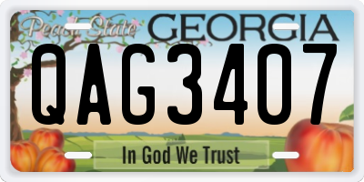 GA license plate QAG3407