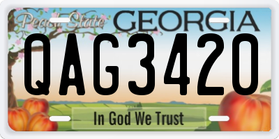 GA license plate QAG3420