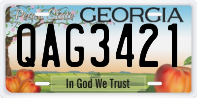 GA license plate QAG3421