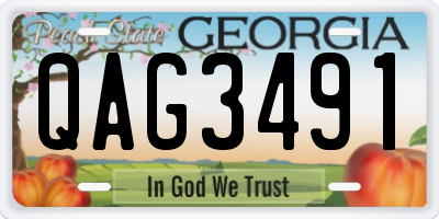 GA license plate QAG3491