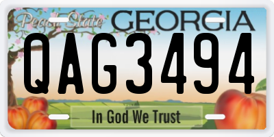 GA license plate QAG3494
