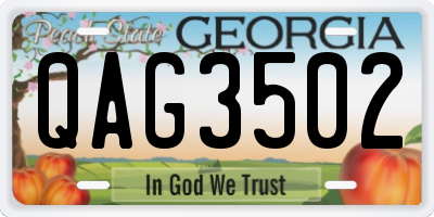GA license plate QAG3502