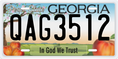 GA license plate QAG3512