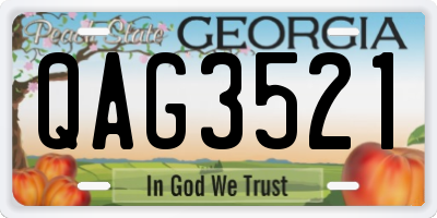 GA license plate QAG3521