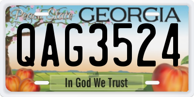 GA license plate QAG3524