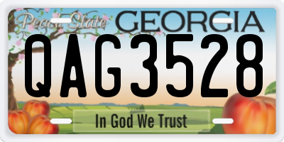 GA license plate QAG3528