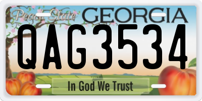 GA license plate QAG3534