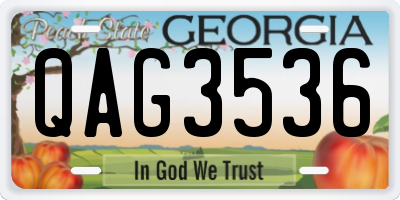 GA license plate QAG3536