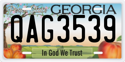 GA license plate QAG3539