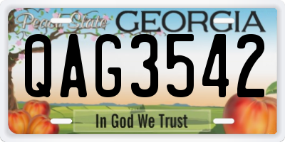 GA license plate QAG3542