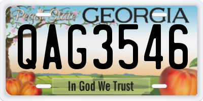 GA license plate QAG3546