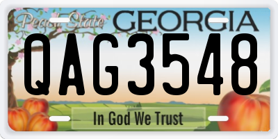 GA license plate QAG3548