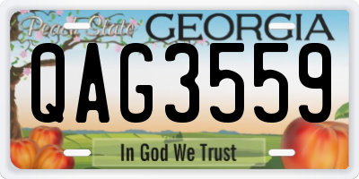 GA license plate QAG3559