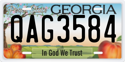 GA license plate QAG3584