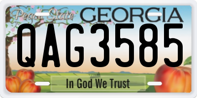 GA license plate QAG3585