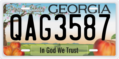 GA license plate QAG3587