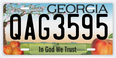 GA license plate QAG3595
