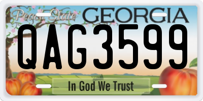 GA license plate QAG3599