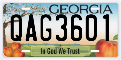 GA license plate QAG3601