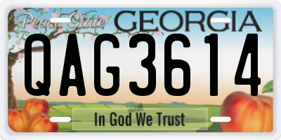 GA license plate QAG3614