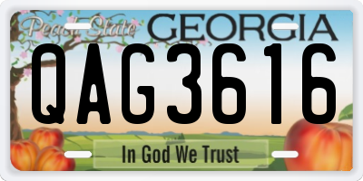 GA license plate QAG3616