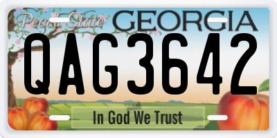 GA license plate QAG3642