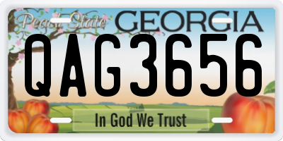 GA license plate QAG3656
