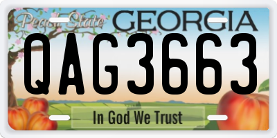 GA license plate QAG3663