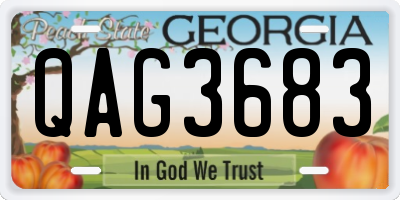 GA license plate QAG3683
