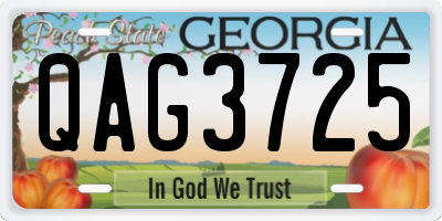 GA license plate QAG3725