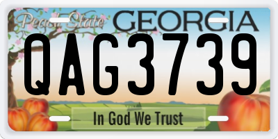 GA license plate QAG3739