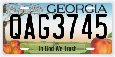 GA license plate QAG3745