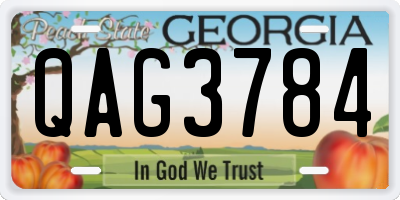 GA license plate QAG3784