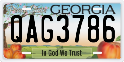 GA license plate QAG3786