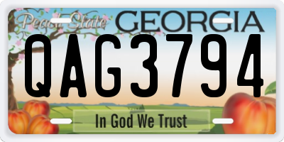 GA license plate QAG3794