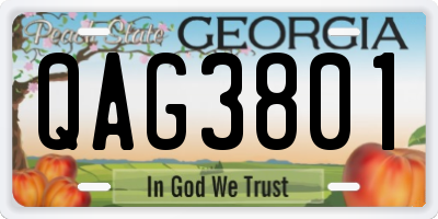 GA license plate QAG3801
