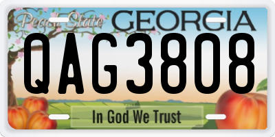 GA license plate QAG3808