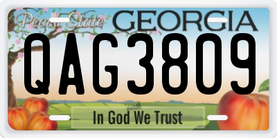 GA license plate QAG3809