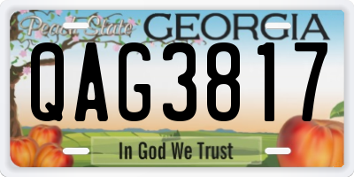 GA license plate QAG3817