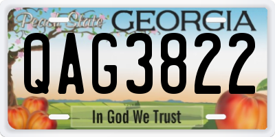 GA license plate QAG3822