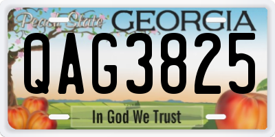 GA license plate QAG3825
