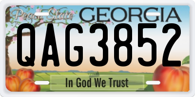 GA license plate QAG3852