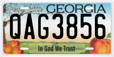 GA license plate QAG3856