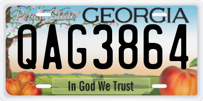GA license plate QAG3864