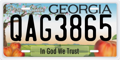 GA license plate QAG3865